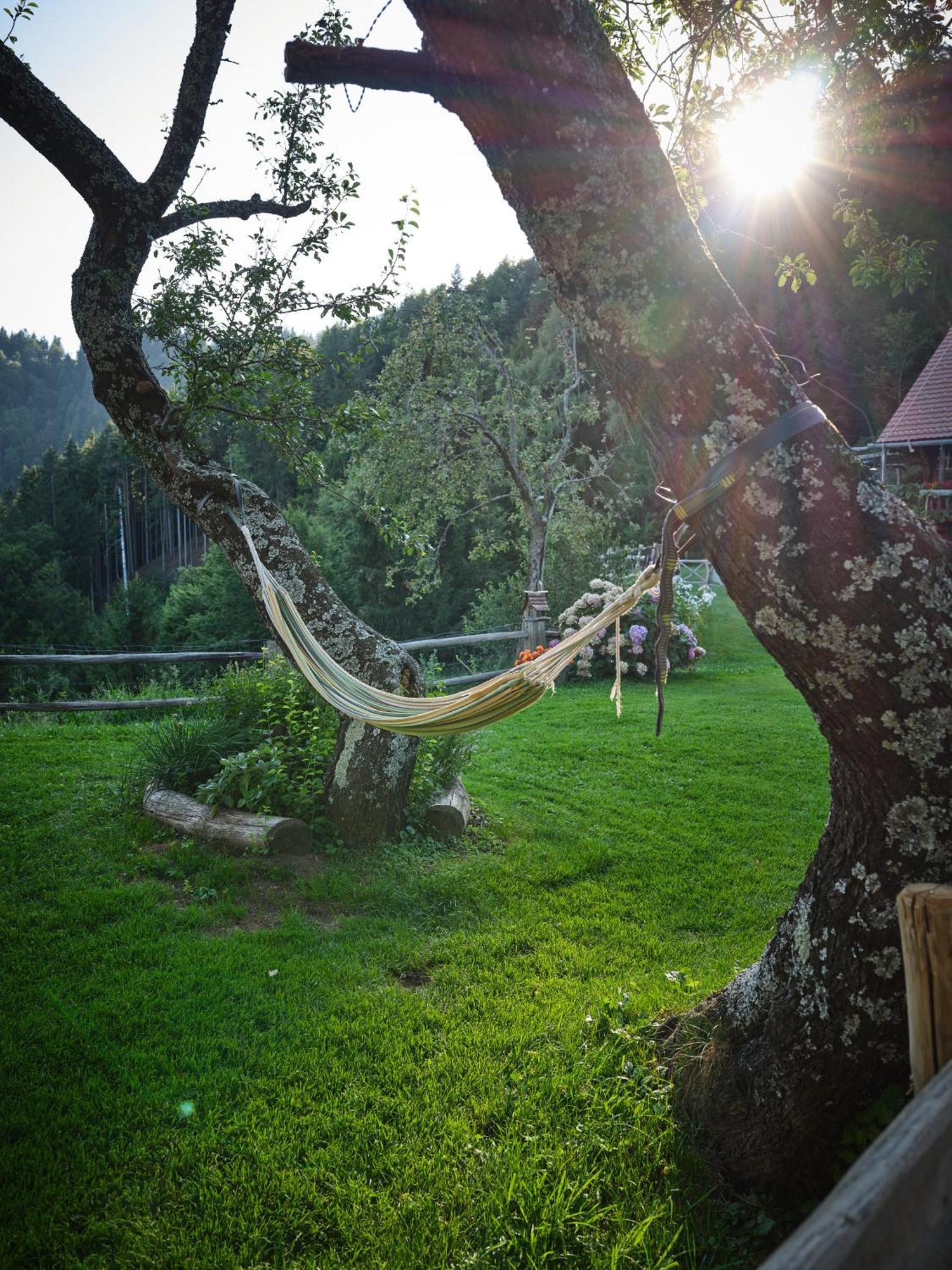 Chalets Toplak Sveti Duh na Ostrem Vrhu Екстериор снимка