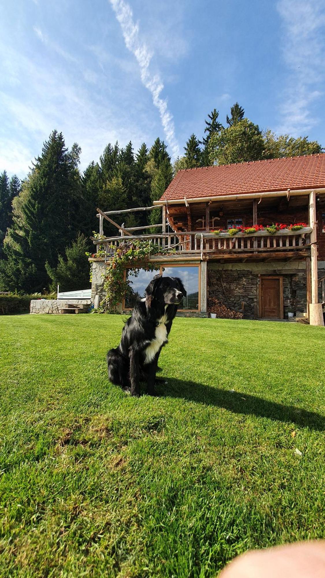 Chalets Toplak Sveti Duh na Ostrem Vrhu Екстериор снимка
