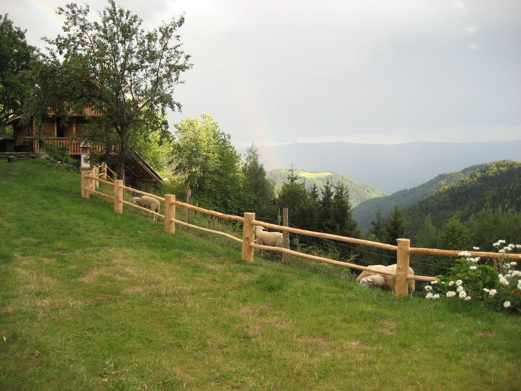 Chalets Toplak Sveti Duh na Ostrem Vrhu Екстериор снимка